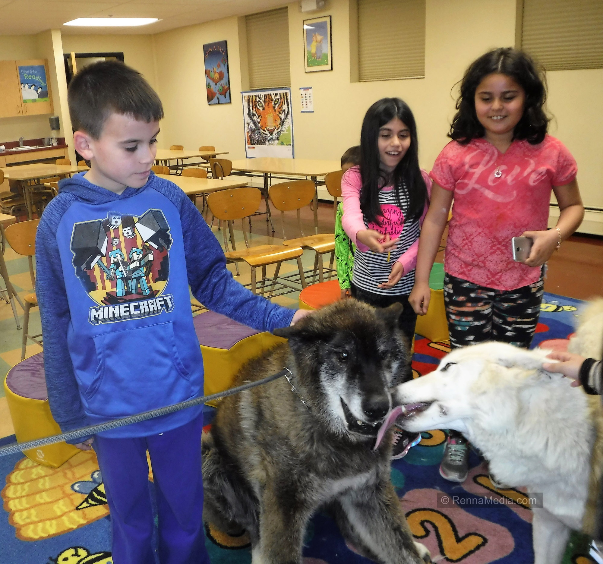 Linden Library Wolf Petting 2018