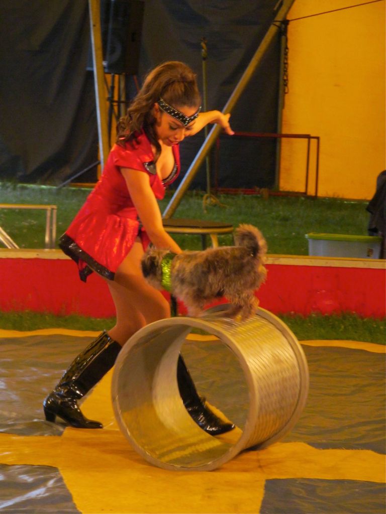 Cranford Zerbini Family Circus 2015 - 040