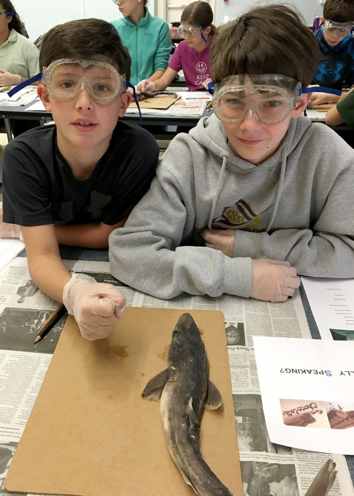 (above) Doyle Hunsinger and Jake Zaikov