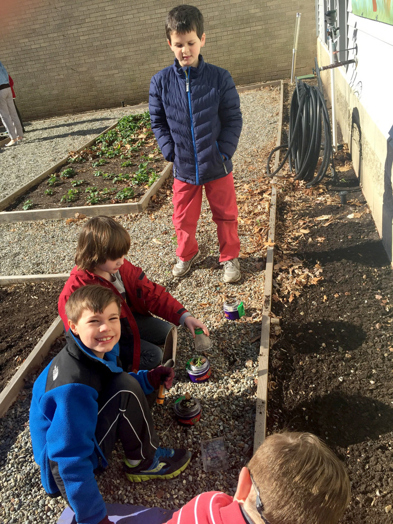 2nd garden