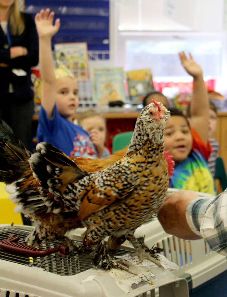 Chicks.PHOTO#5.Ruby