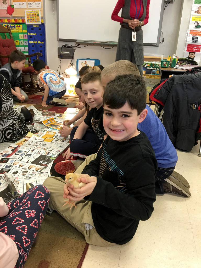 (above) Aydin Bedi holding chick and Matthew Moreira (from Mrs. Brower's class).