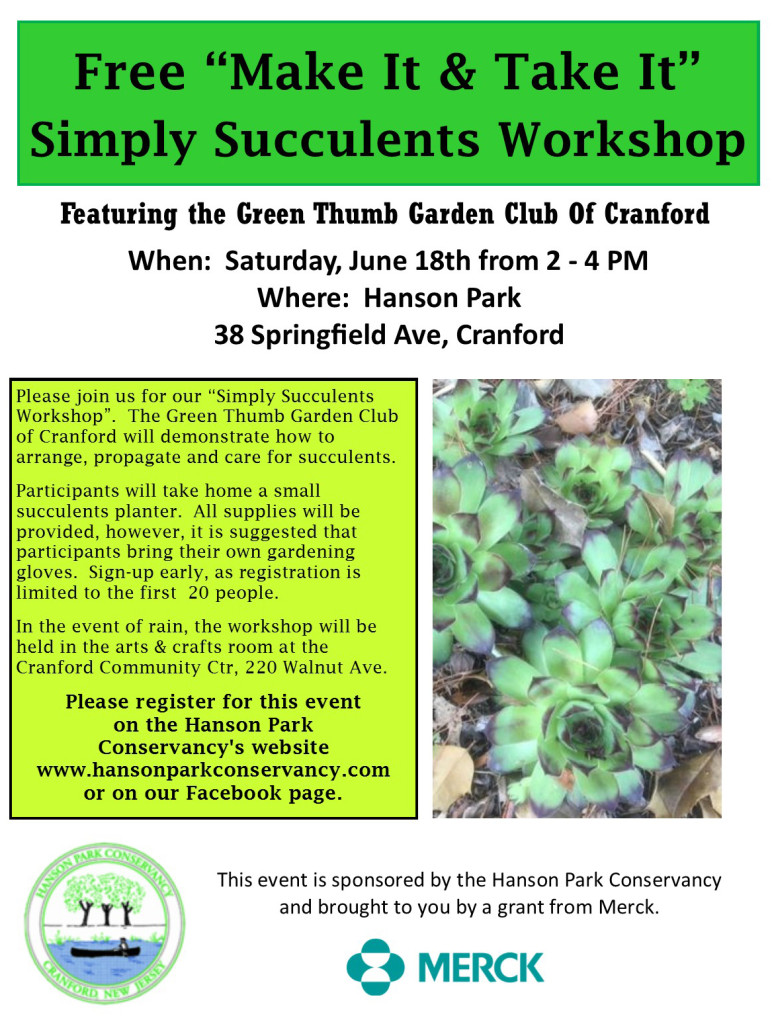 SucculentFlyerV