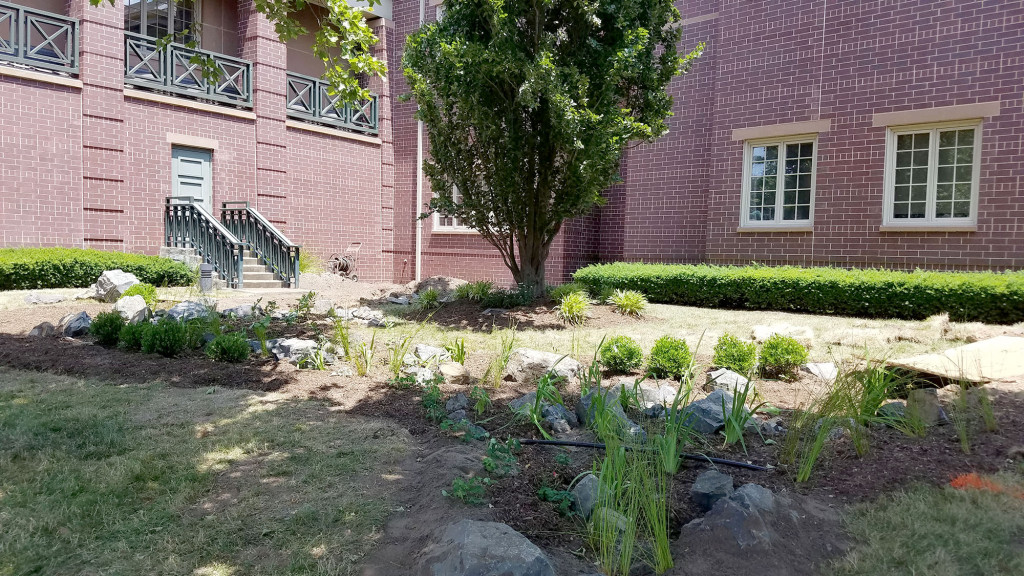Rain Garden City Hall Summit