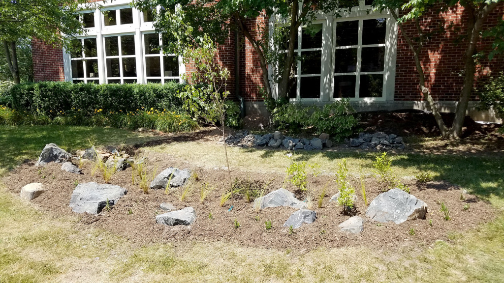 Rain Garden Library Summit