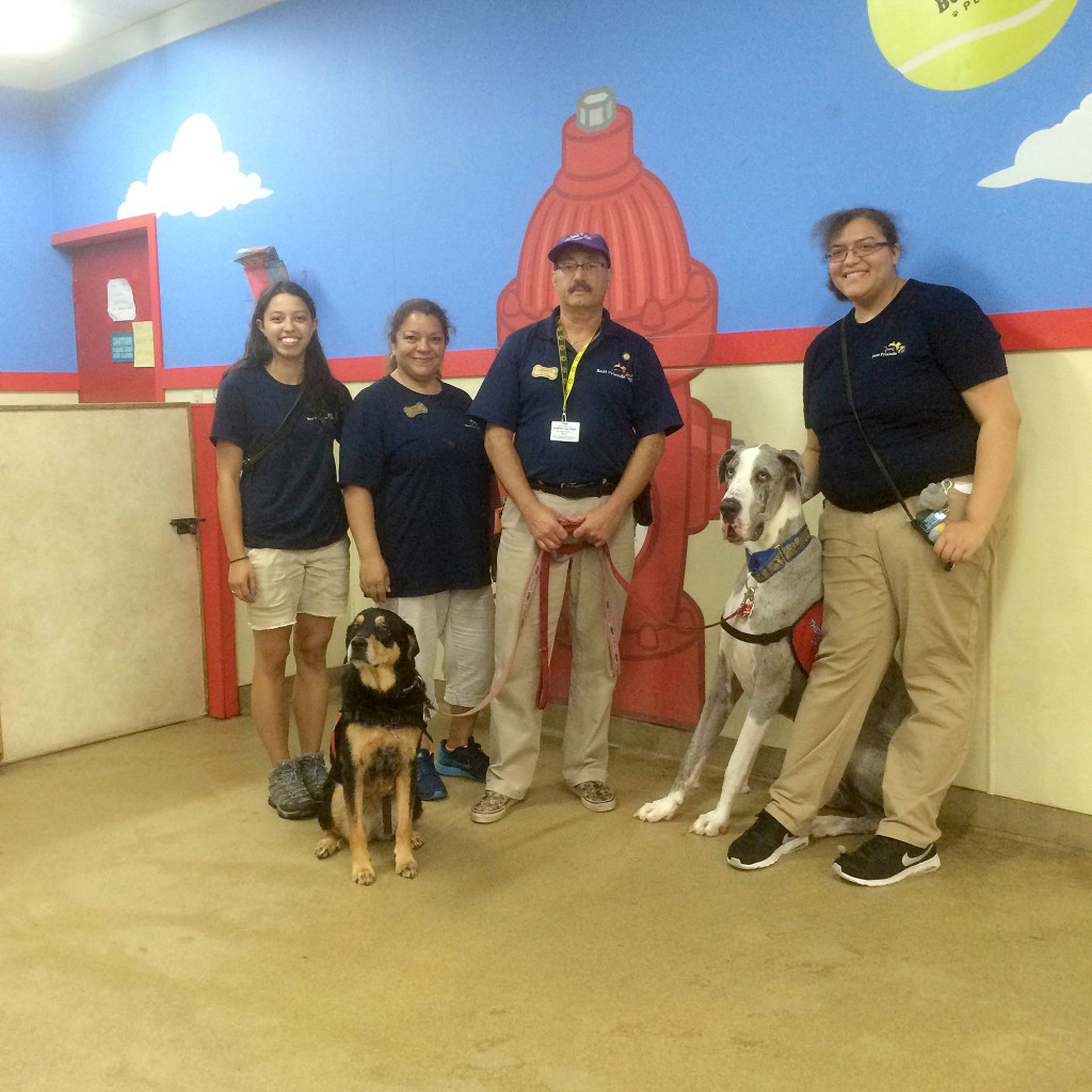 (above) The Staff of Best Friends Pet Care and some friends.