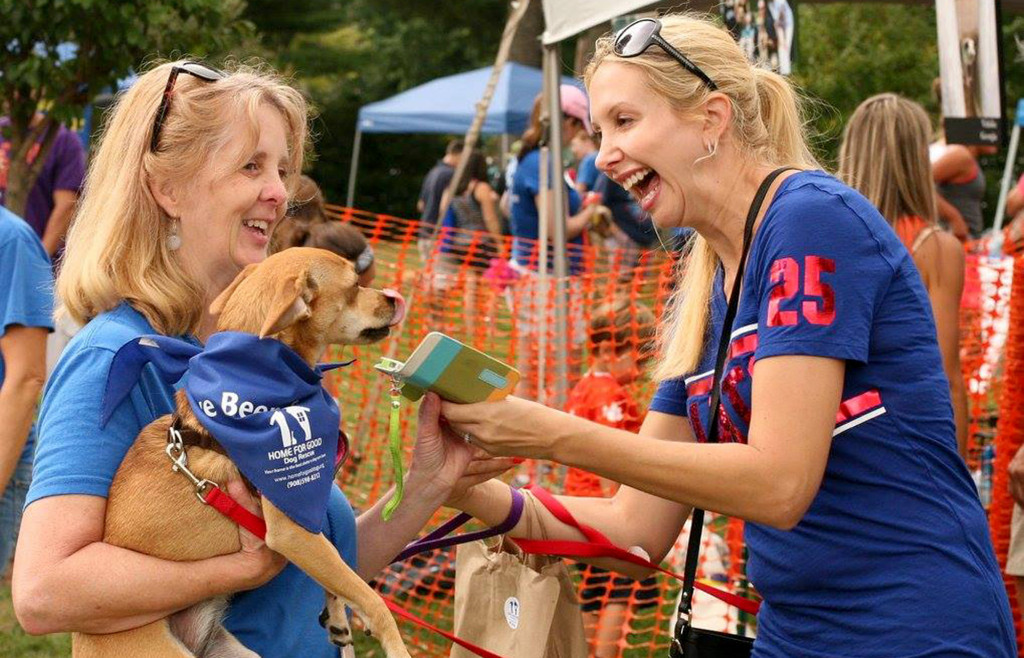 bark-a-que-to-find-rescue-dogs-forever-homes