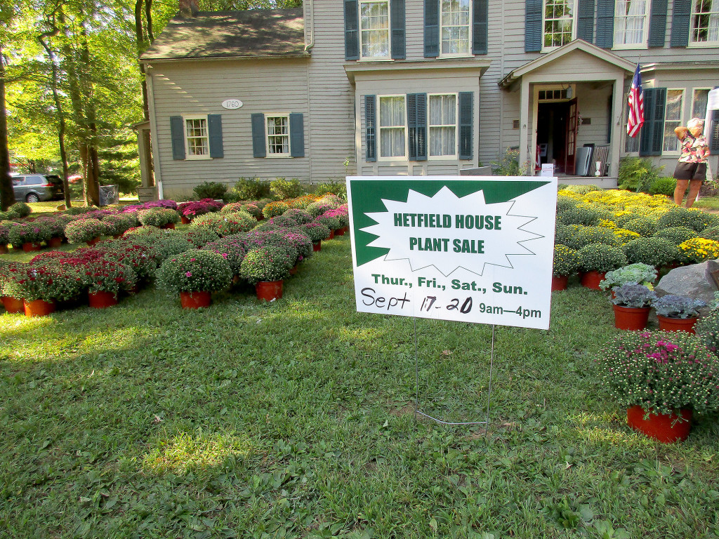 (above) The Mountainside Historic Committee’s Annual Fall Mum & Plant sale will be held at Mountainside’s Deacon Andrew Hetfield House on Thursday, Sept. 15th through Sunday, Sept. 18th from 9am – 4pm. Shop early for the best selection.